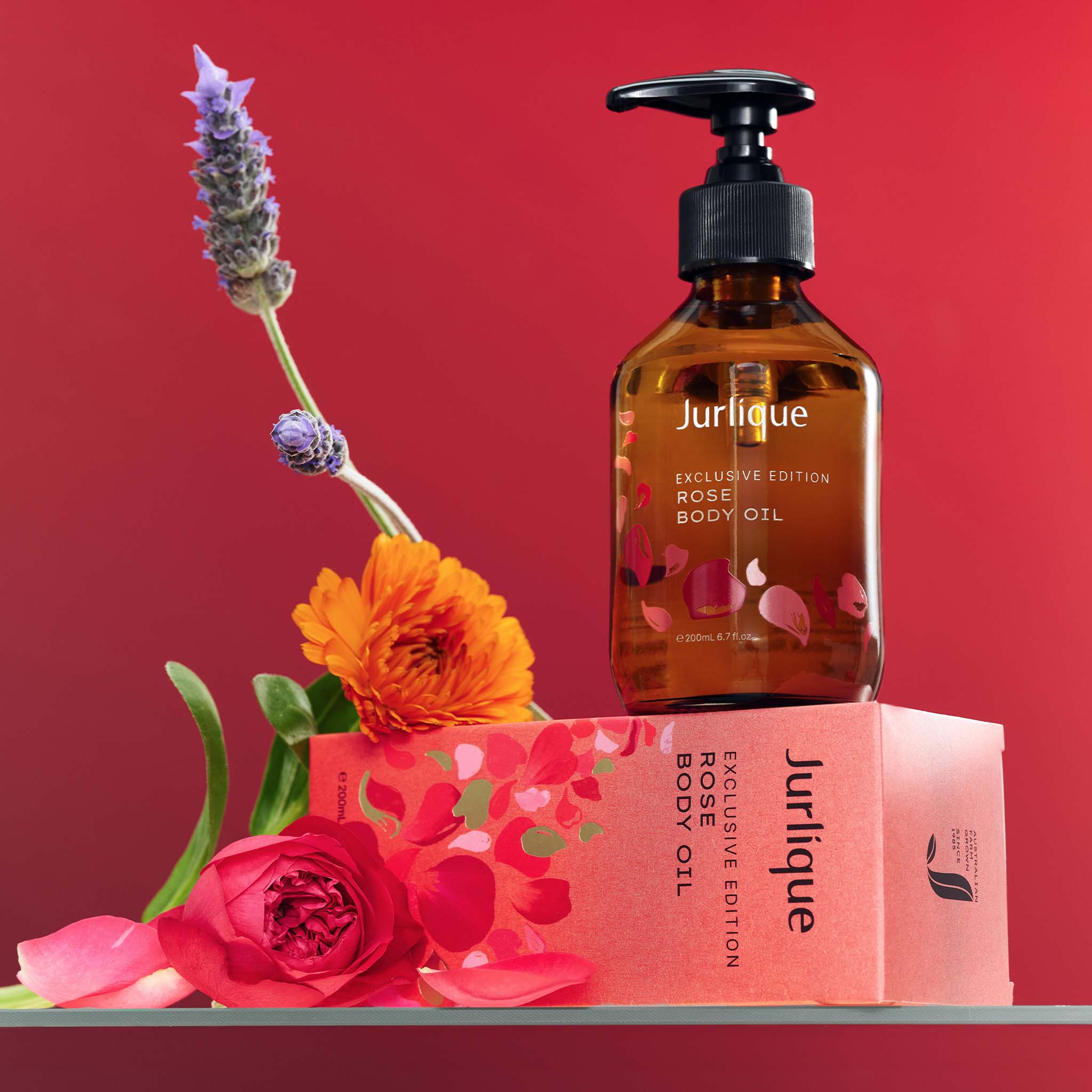 Exclusive Edition Rose Body Oil - Image 6