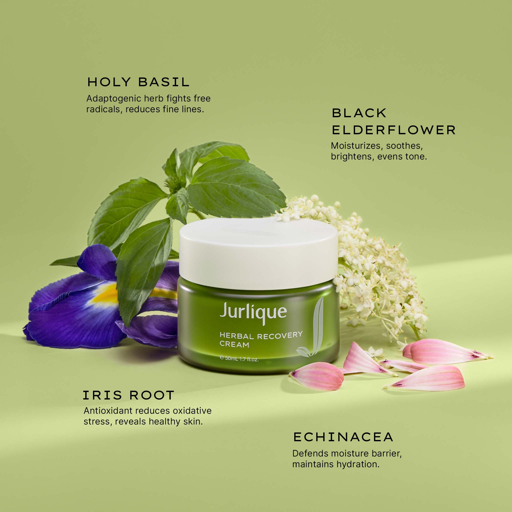 Herbal Recovery Cream - Image 3