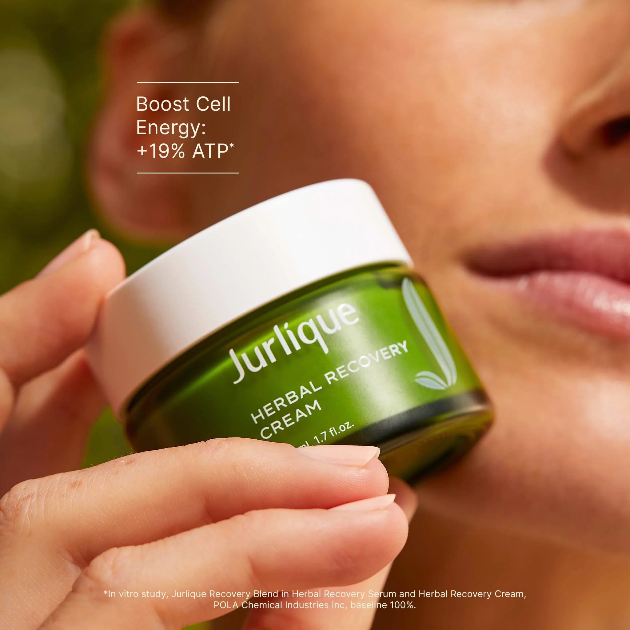 Herbal Recovery Cream - Image 5