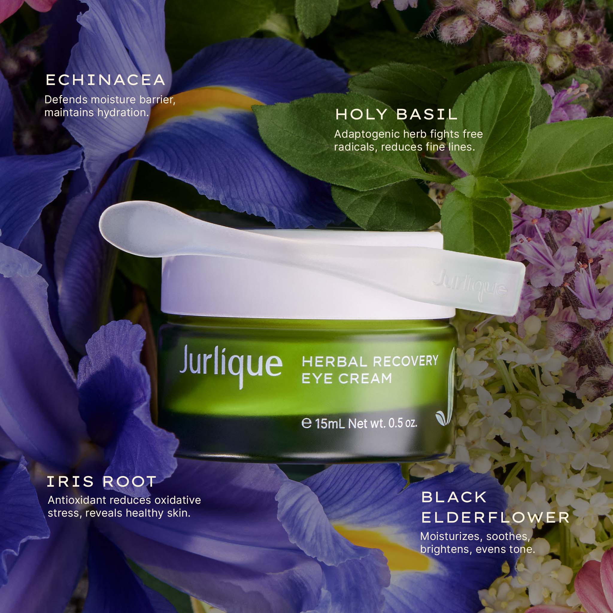 Herbal Recovery Eye Cream - Image 3