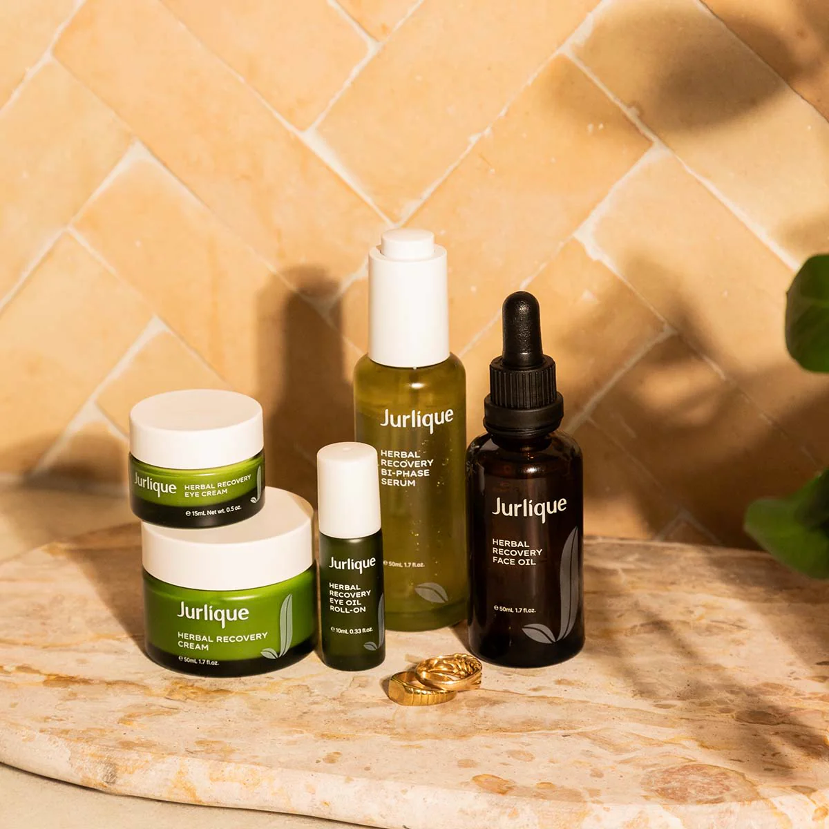 Herbal Recovery Face Oil - Image 7