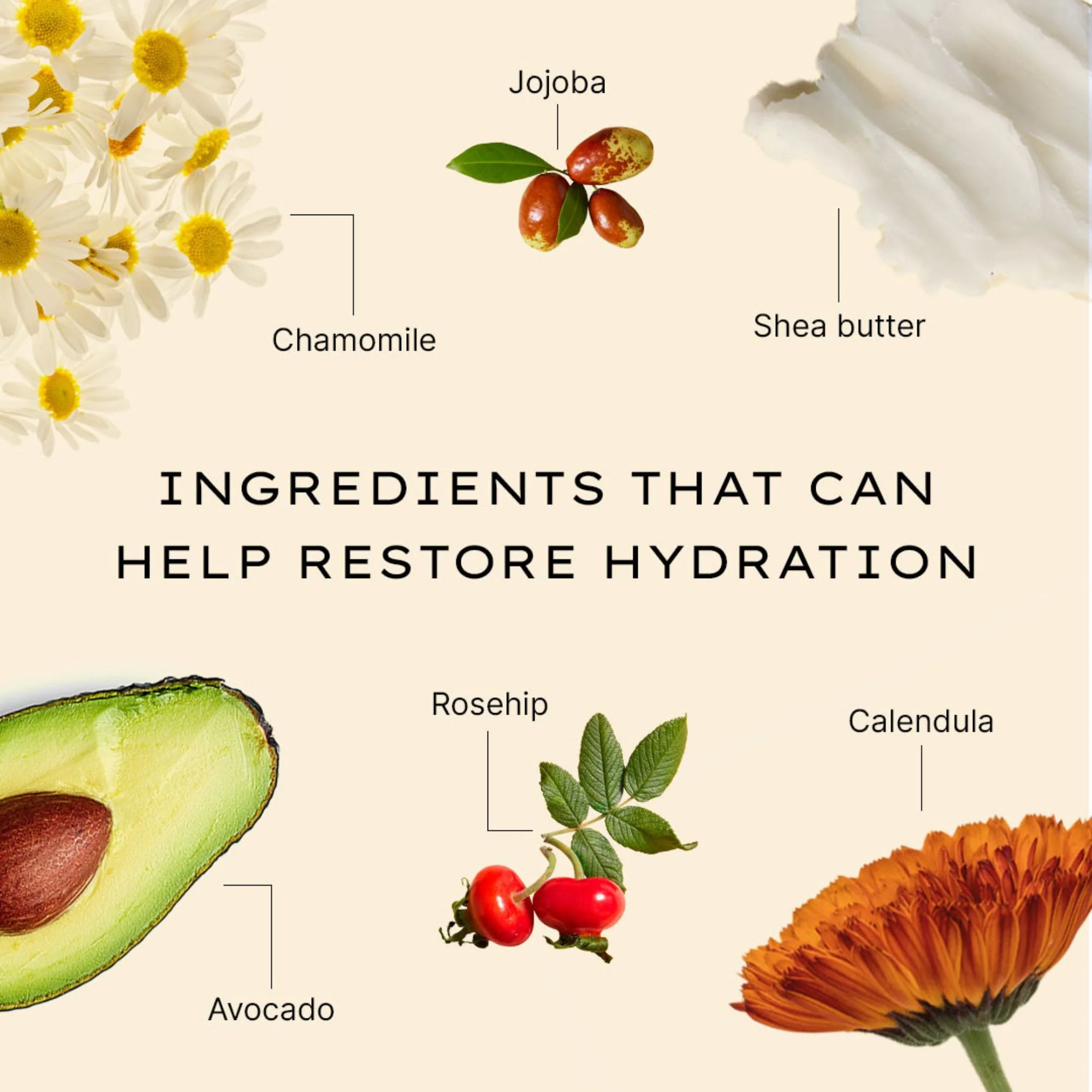 Moisture Replenishing Day Cream - Image 6