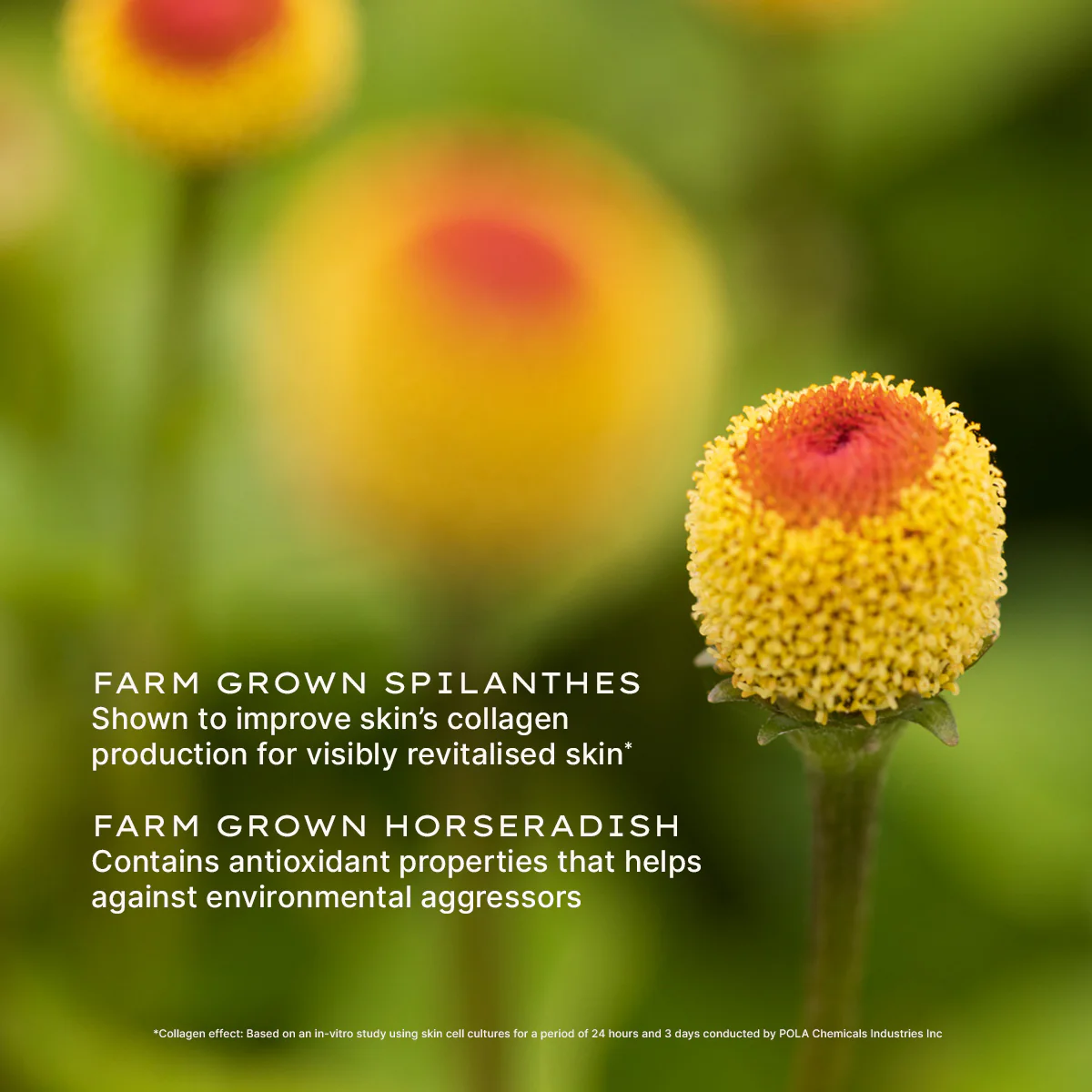 Nutri-Define Rich Cream - Image 5