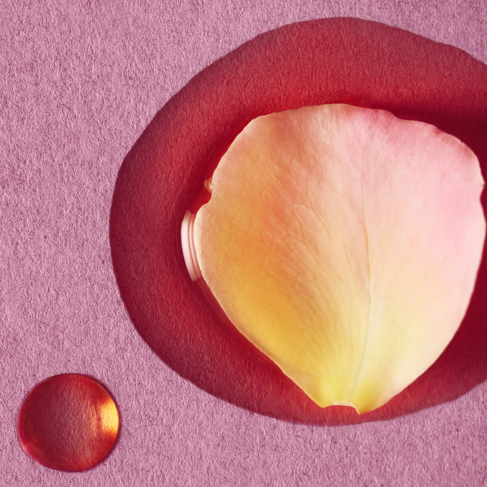 Rare Rose Face Oil - Image 4