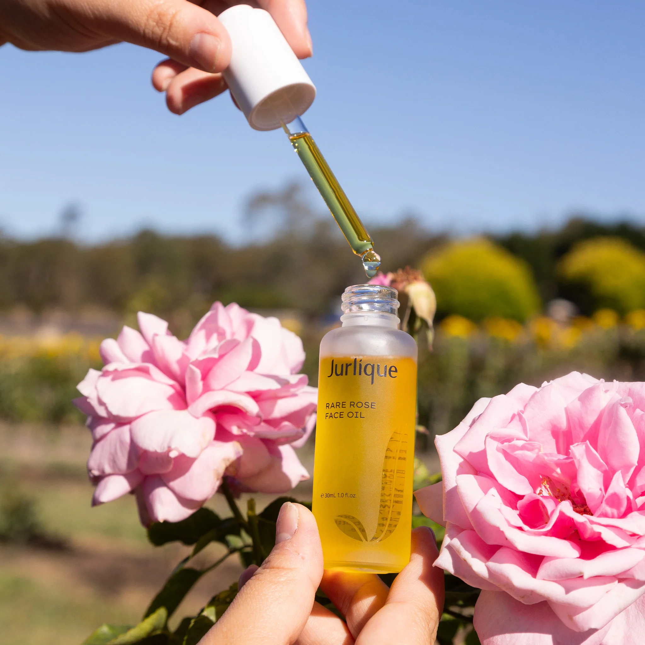 Rare Rose Face Oil - Image 8